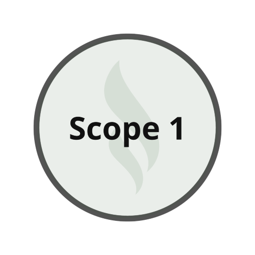 Scope 1